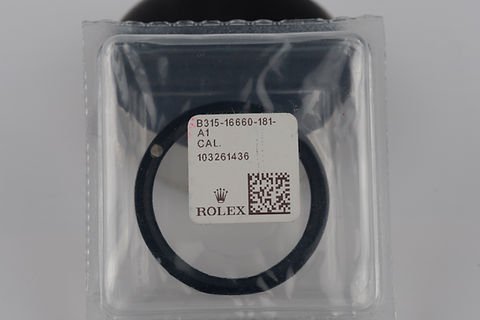 Rolex Sea-Dweller bezel insert